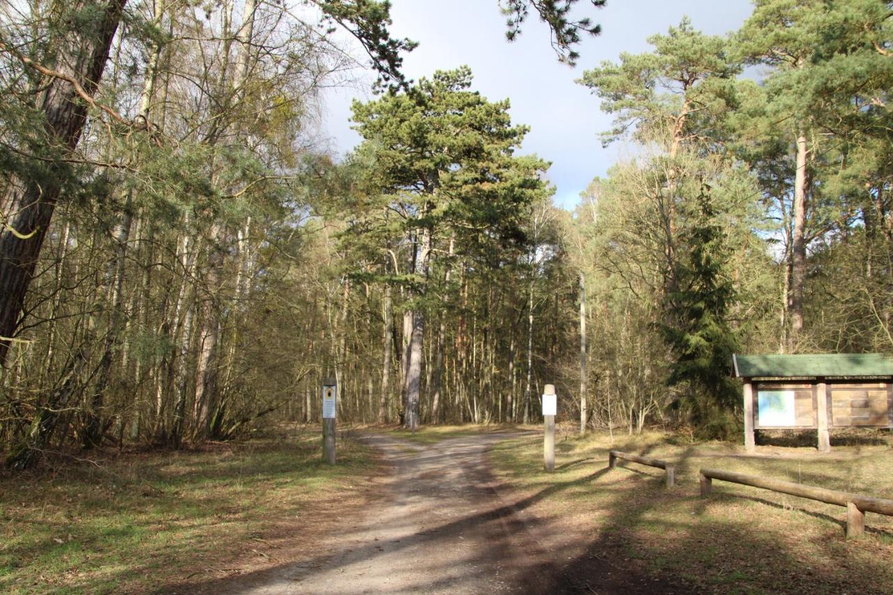 Das Kleine, Gemuetliche Ferienhaus Ludorf Buitenkant foto