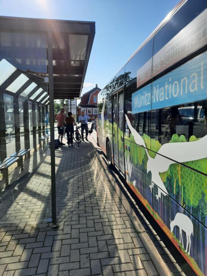 Das Kleine, Gemuetliche Ferienhaus Ludorf Buitenkant foto