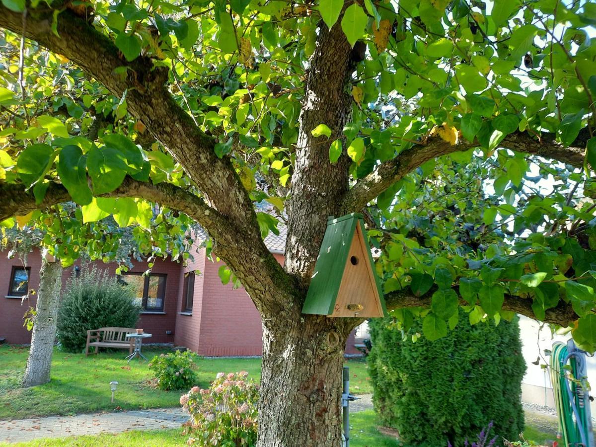 Das Kleine, Gemuetliche Ferienhaus Ludorf Buitenkant foto